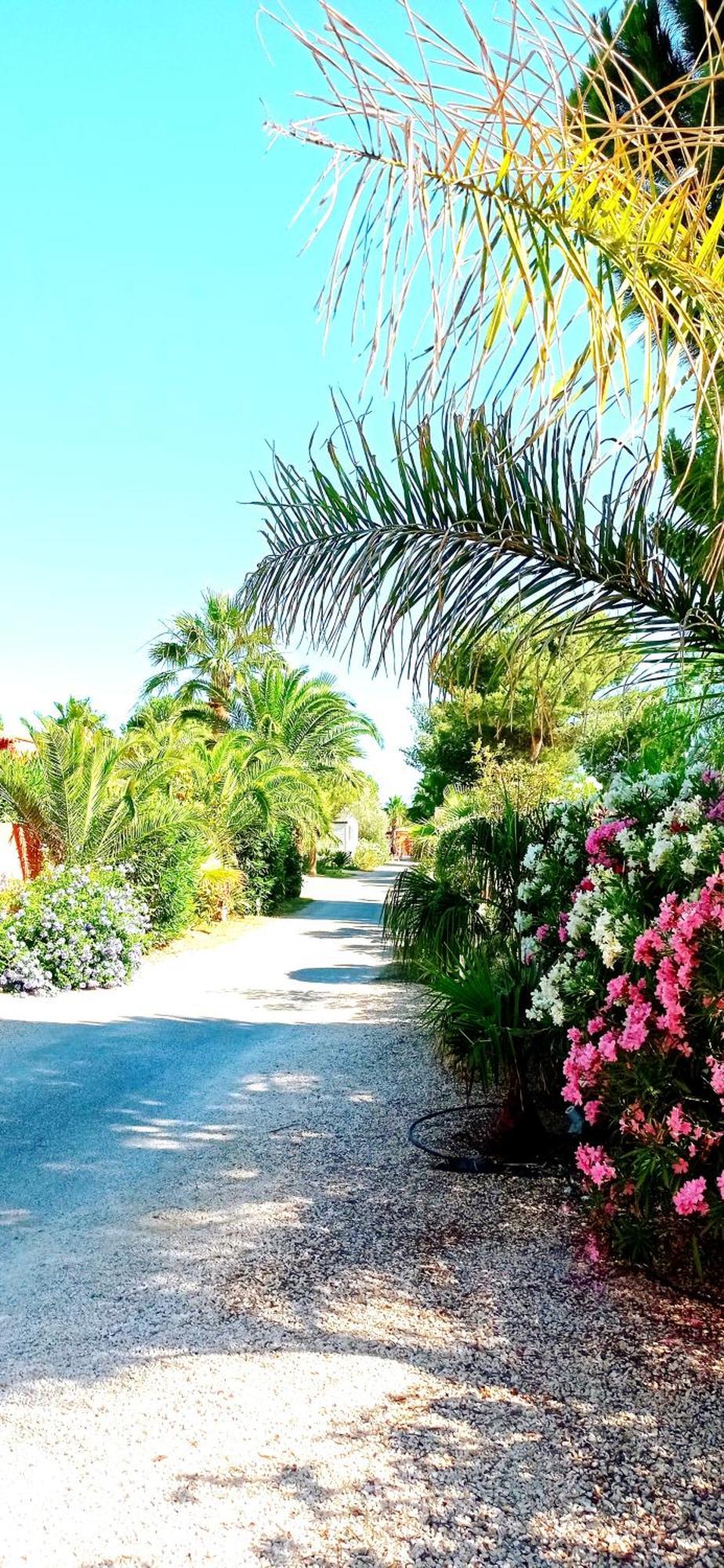 Happymobilhome Argeles-Sur-Mer -Plage A 500M- Camping 4 Etoiles Del Mar Eksteriør billede