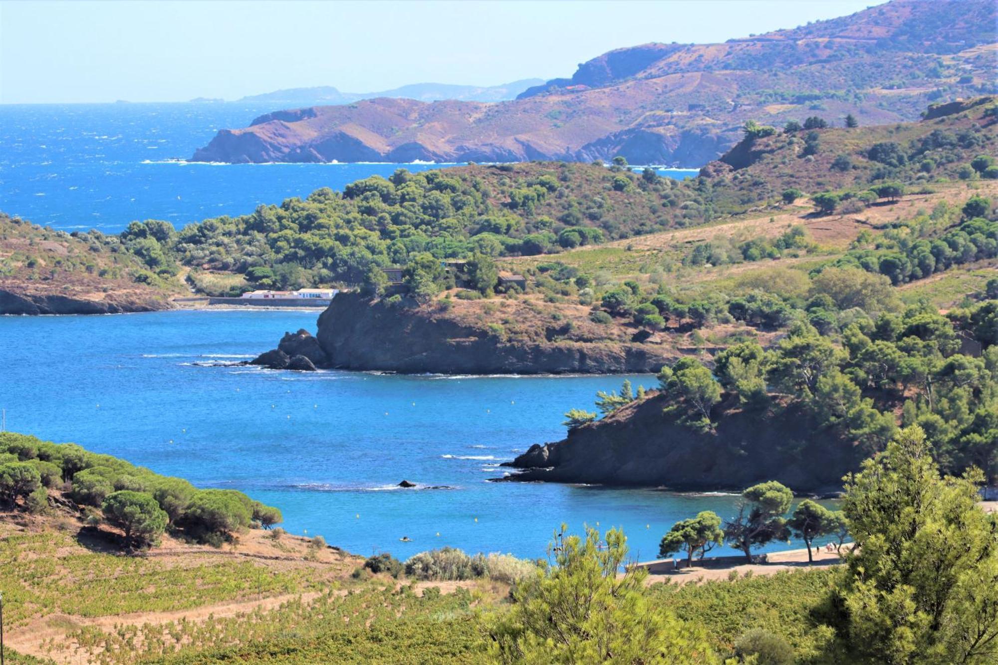 Happymobilhome Argeles-Sur-Mer -Plage A 500M- Camping 4 Etoiles Del Mar Eksteriør billede