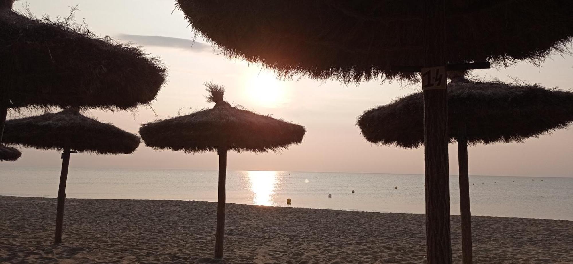 Happymobilhome Argeles-Sur-Mer -Plage A 500M- Camping 4 Etoiles Del Mar Eksteriør billede